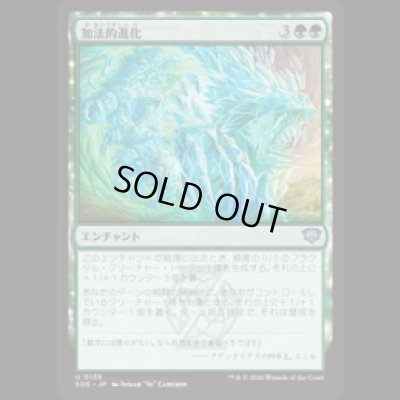 画像1: 加法的進化/Additive Evolution [SOS]