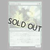 荊棘拳の打撃者/Thornfist Striker [SOS]