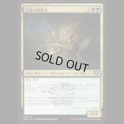 画像1: 古株の教育者/Old-Growth Educator [SOS]