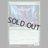 プロレスラー/Professional Wrestler [SPM]