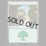 森/Forest (No.198)[SPM]