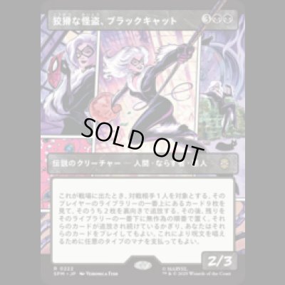 画像1: [パネル] 狡猾な怪盗、ブラックキャット/Black Cat, Cunning Thief (No.222) [SPM]