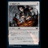 殲滅学入門/Introduction to Annihilation [STX]