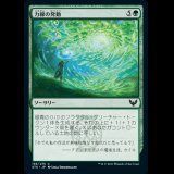 力線の発動/Leyline Invocation [STX]