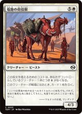 塩路の荷役獣/Salt Road Packbeast [TDM]