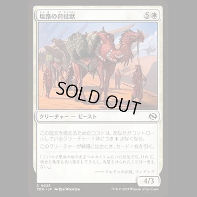画像1: 塩路の荷役獣/Salt Road Packbeast [TDM]