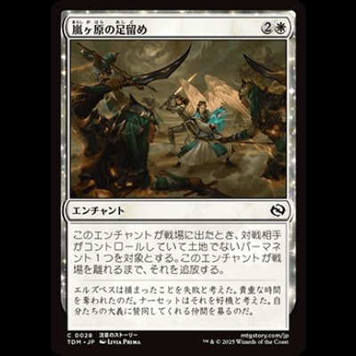 画像1: 嵐ヶ原の足留め/Stormplain Detainment [TDM]