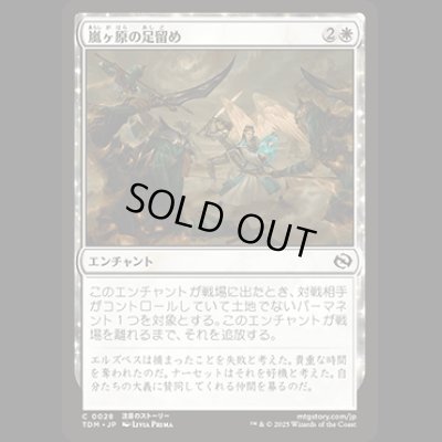 画像1: 嵐ヶ原の足留め/Stormplain Detainment [TDM]