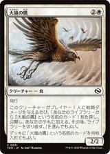 大嵐の鷹/Tempest Hawk [TDM]