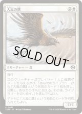 大嵐の鷹/Tempest Hawk [TDM]