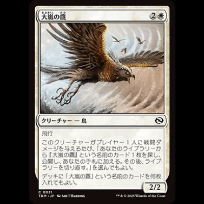 画像1: 大嵐の鷹/Tempest Hawk [TDM]