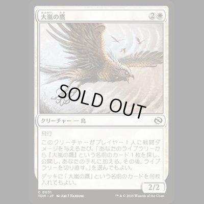 画像1: 大嵐の鷹/Tempest Hawk [TDM]