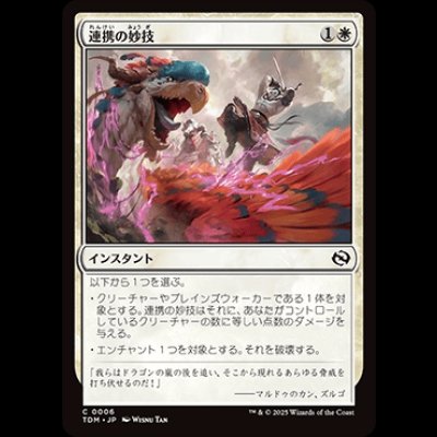 画像1: 連携の妙技/Coordinated Maneuver [TDM]