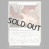 骨性の吐息/Osseous Exhale [TDM]