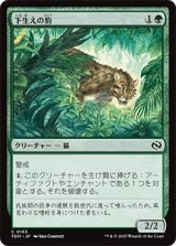 下生えの豹/Undergrowth Leopard [TDM]