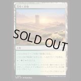 花咲く砂地/Blossoming Sands [TDM]