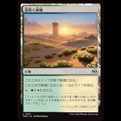 画像1: 花咲く砂地/Blossoming Sands [TDM]