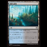 陰鬱な僻地/Dismal Backwater [TDM]