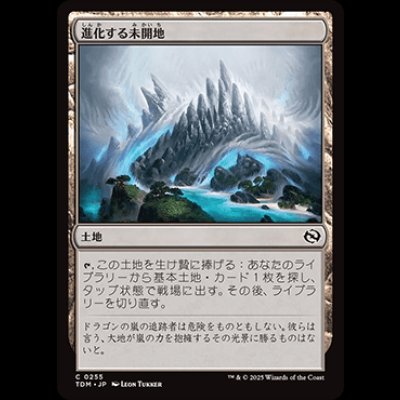 画像1: 進化する未開地/Evolving Wilds [TDM]