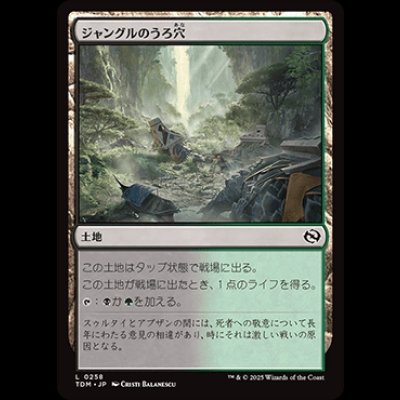 画像1: ジャングルのうろ穴/Jungle Hollow [TDM]