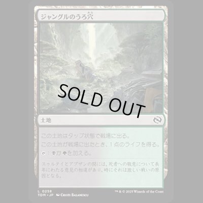 画像1: ジャングルのうろ穴/Jungle Hollow [TDM]