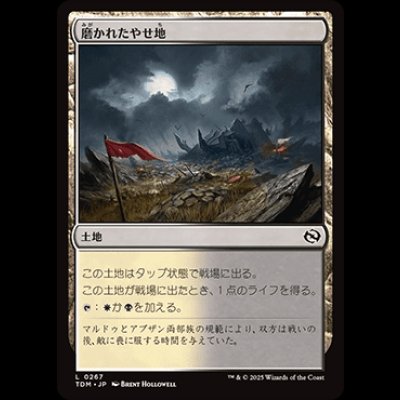 画像1: 磨かれたやせ地/Scoured Barrens [TDM]
