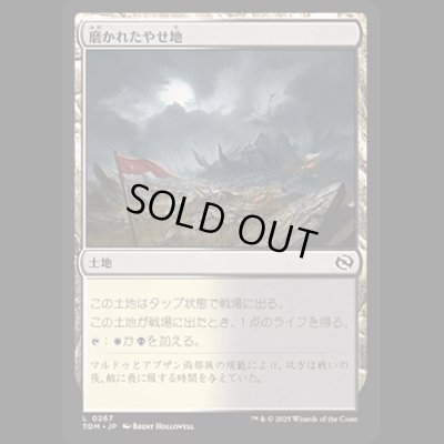 画像1: 磨かれたやせ地/Scoured Barrens [TDM]