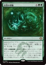 自然の律動/Nature's Rhythm [TDM]