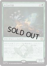 木立の守部/Warden of the Grove [TDM]