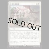 団結の最前線/United Battlefront [TDM]