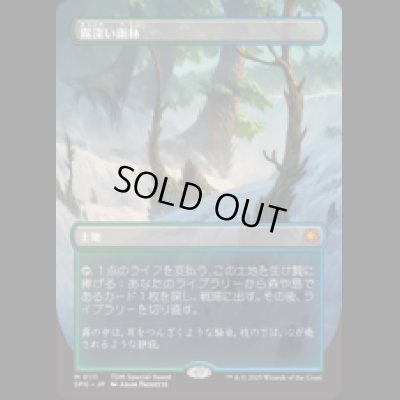 画像1: [ボーダーレス] 霧深い雨林/Misty Rainforest [TDMSPG]