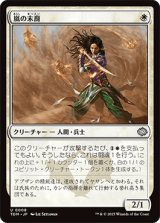 嵐の末裔/Descendant of Storms [TDM]