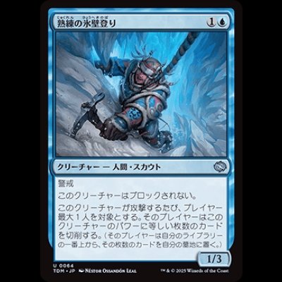 画像1: 熟練の氷壁登り/Veteran Ice Climber [TDM]