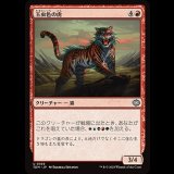 玉虫色の虎/Iridescent Tiger [TDM]