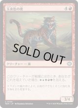 玉虫色の虎/Iridescent Tiger [TDM]