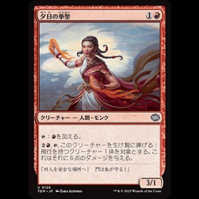 画像1: 夕日の拳聖/Sunset Strikemaster [TDM]