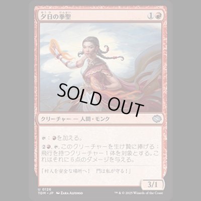 画像1: 夕日の拳聖/Sunset Strikemaster [TDM]