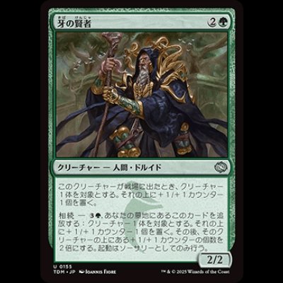画像1: 牙の賢者/Sage of the Fang [TDM]
