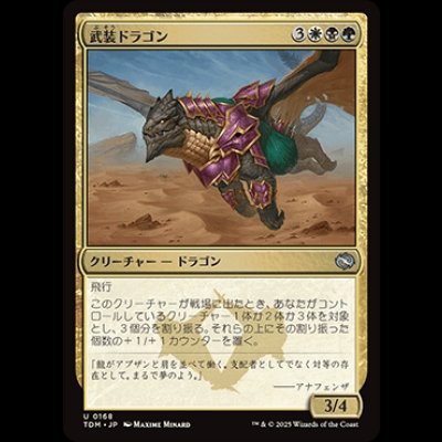 画像1: 武装ドラゴン/Armament Dragon [TDM]
