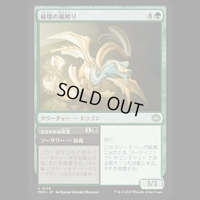 画像1: 破壊の嵐孵り/Disruptive Stormbrood [TDM]