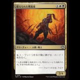 鍛えられた戦術家/Hardened Tactician [TDM]