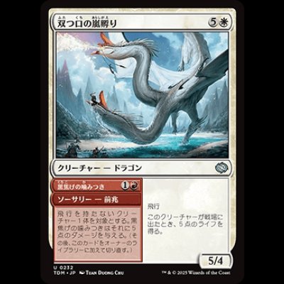 画像1: 双つ口の嵐孵り/Twinmaw Stormbrood [TDM]