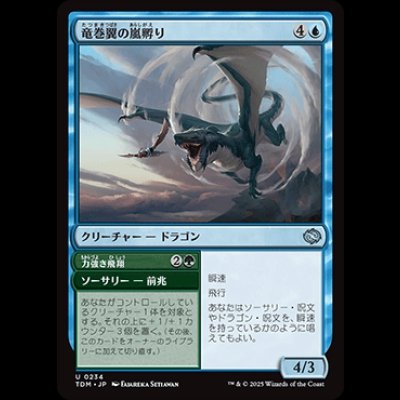 画像1: 竜巻翼の嵐孵り/Whirlwing Stormbrood [TDM]