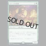 セテッサの勇者/Setessan Champion [THB]