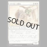 ウサギルーの群れ/Rabaroo Troop [TLA]