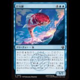 巨大鯉/Giant Koi [TLA]