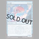 巨大鯉/Giant Koi [TLA]