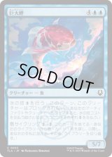 巨大鯉/Giant Koi [TLA]