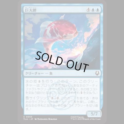 画像1: 巨大鯉/Giant Koi [TLA]