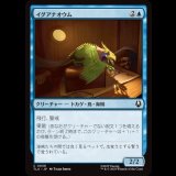 イグアナオウム/Iguana Parrot [TLA]